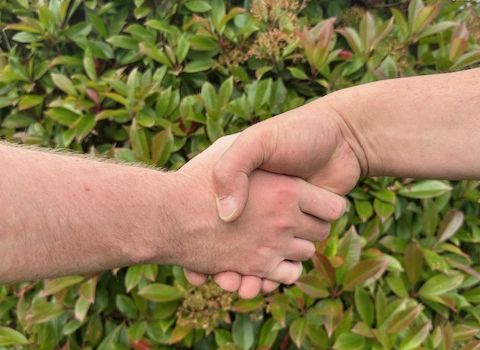 Auf gute Nachbarschaft