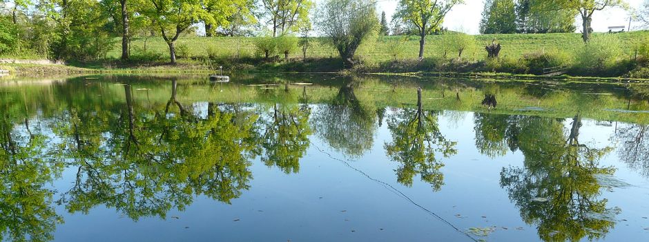Junge (1) in Teich ertrunken: Polizei sucht Zeugen