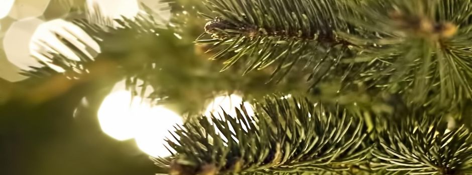 Weihnachtsbeleuchtung 2025