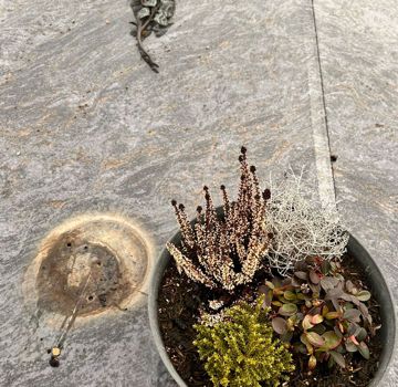 Diebstähle auf dem Friedhof