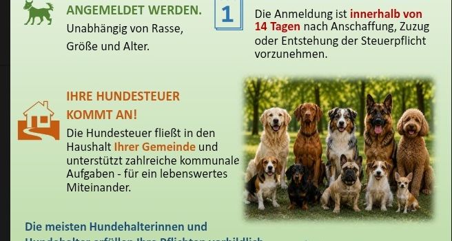 Hunde sind treue Begleiter !