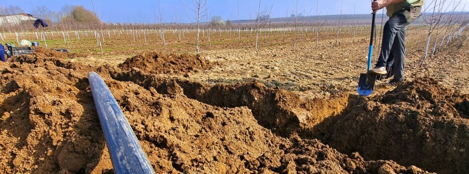 Mainzer Bauern: Wasserproblem wird immer ernster