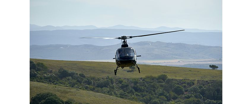 Himmelsspektakel über Mommenheim: Privates Hubschrauber-Treffen am Wochenende
