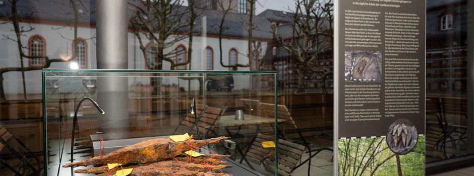 Älter als die Römer: Landesmuseum zeigt neue Funde in Mainz
