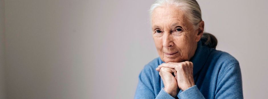 «Schimpansen-Mama» Jane Goodall ist tot