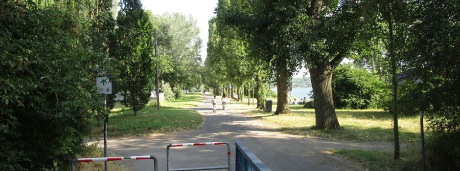 Großeinsatz auf der Maaraue