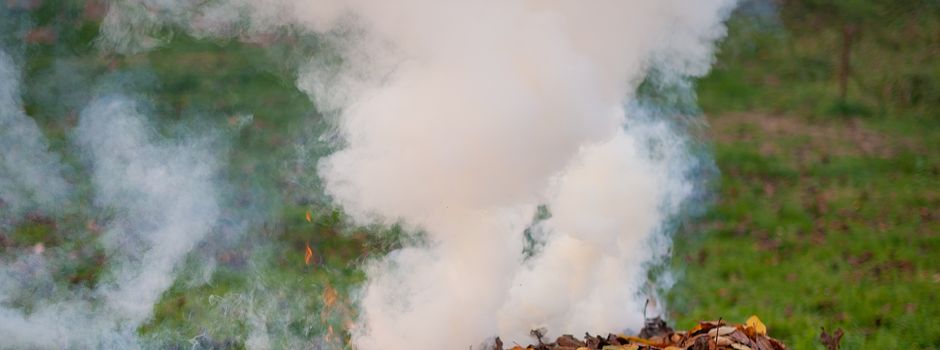 Verbrennen pflanzlicher Abfälle