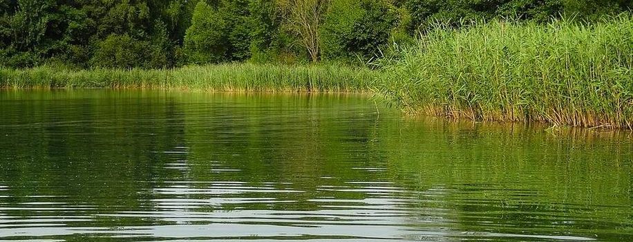 Schwimmen erlaubt: Diese Badeseen rund um Mainz gibt es