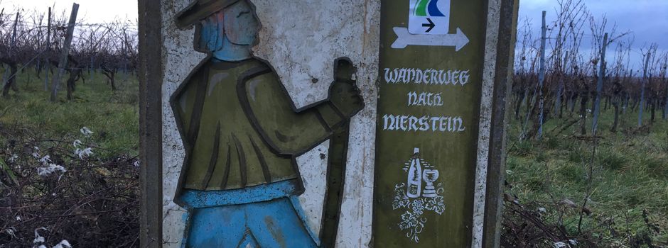 Der RheinTerrassenWeg führt durch 5 Ortschaften der VG Rhein-Selz