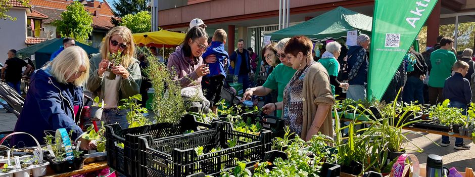 Für Tauschbörse jetzt Pflanzen vorbereiten