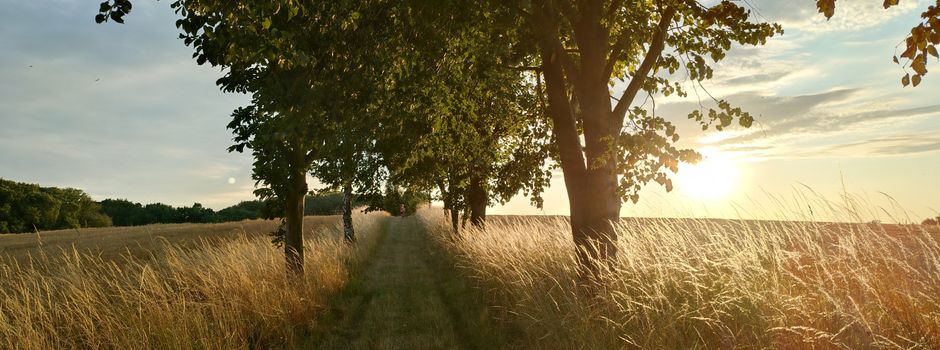 Spätsommer & Herbst