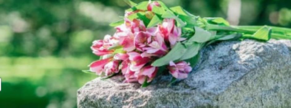 Führung über Geesthachts Waldfriedhof: „Friedhöfe – Die Natur schützen und Biodiversität fördern“ 