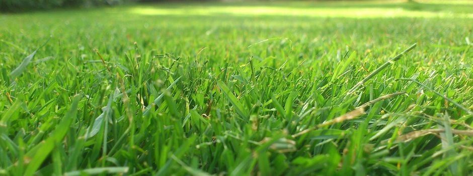 Lust auf einen Sommerferienjob im Dorf?