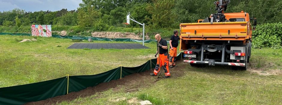 Eidechsen werden umgesetzt