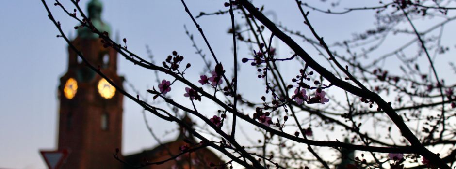 Frau in Wiesbadener Einkaufszentrum sexuell belästigt
