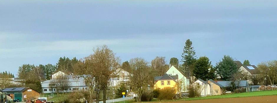 Bäume und Sträucher