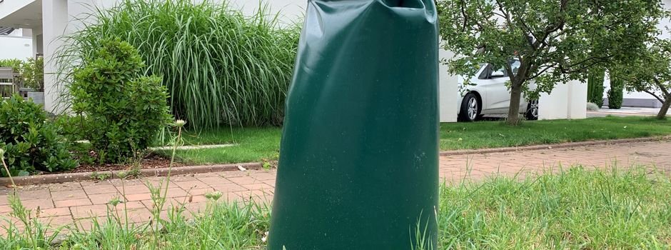 Stadt Ingelheim ruft Bevölkerung zum Gießen auf
