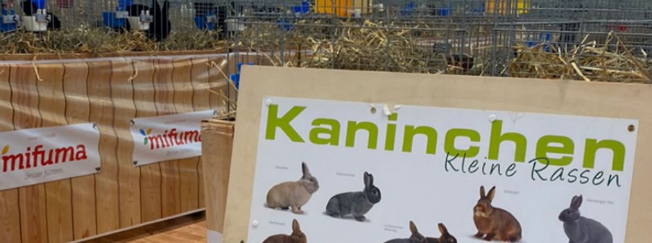 Kaninchenschau in Herzebrock: 28. & 29. Oktober 2023
