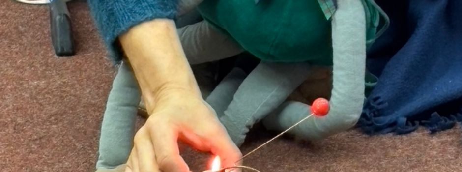 Energiezauberer Baldur verzaubert die Grundschule Benthe