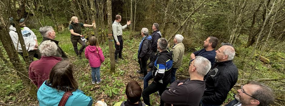 Öffentliche Waldbegehung mit Revierleiter Martin Keßler