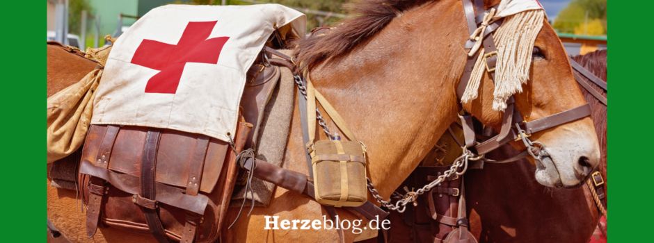 Erste Hilfe-Lehrgang mit besonderem Schwerpunkt auf Pferde- und Kutschenunfälle