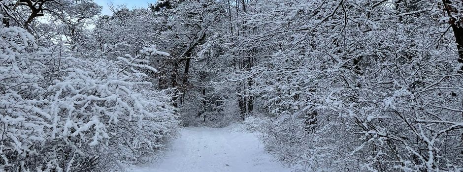 Schnee und Glatteis für Mainz erwartet
