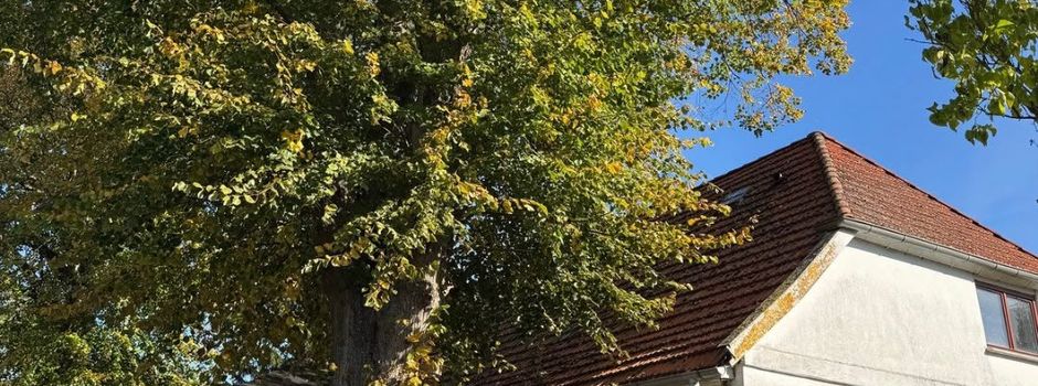 Neues Leben im Gutshaus Dorf Triwalk