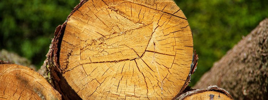 Bestellungen für Brennholz 2025