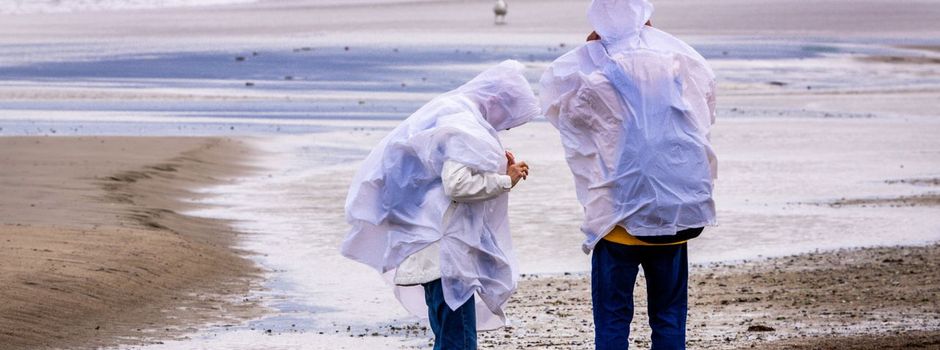 Umgestürzte Bäume und ausgefallene Fähren durch Herbststurm