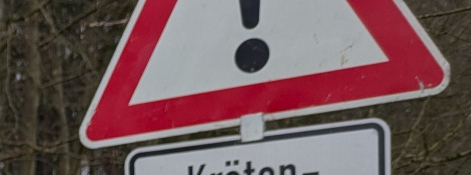 Freiwillige helfen Amphibien über die Straße - Appell an Verkehrsteilnehmende