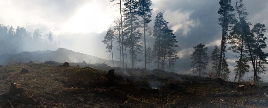 Feuerwehr Pirmasens: Brandgeruch hat keine lokale Ursache