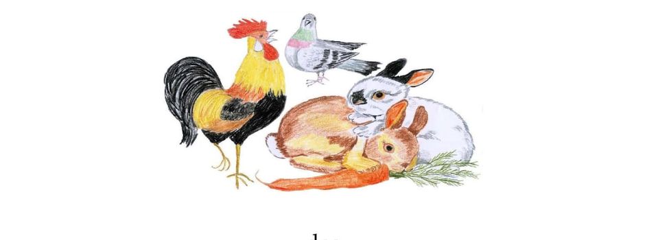 Einladung zur Lokalschau am 16.November