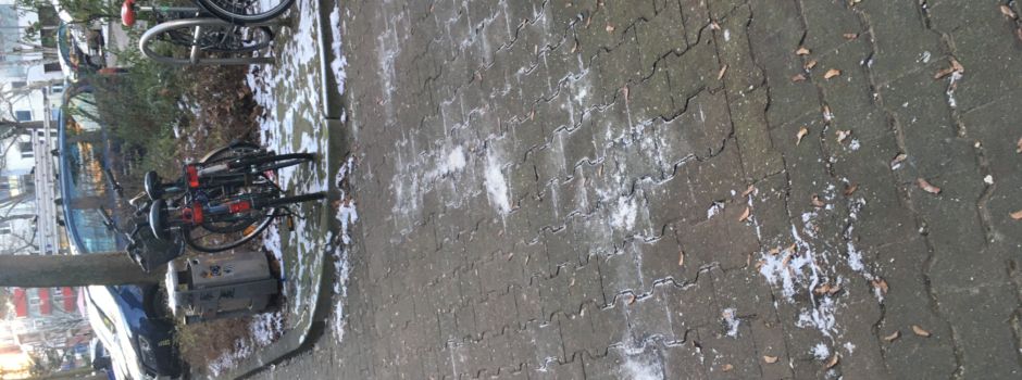 Ist der Einsatz von Streusalz in Mainz erlaubt?