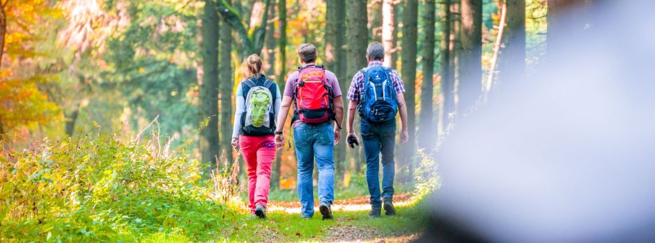 Natur pur! Neue Wander-Reihe startet Ab Juni führen 26 ausgebildete Wanderführer kostenfrei durch den Kreis Gütersloh