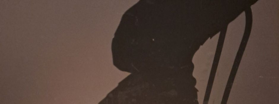 Freilaufende Hunde im Ort