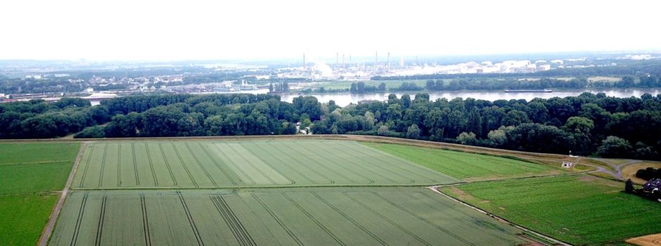 Rheinspange 553 – Brücke, Tunnel oder gar nichts? Das sind die Fakten!