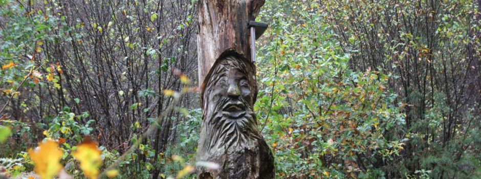 Durch den Zauberwald