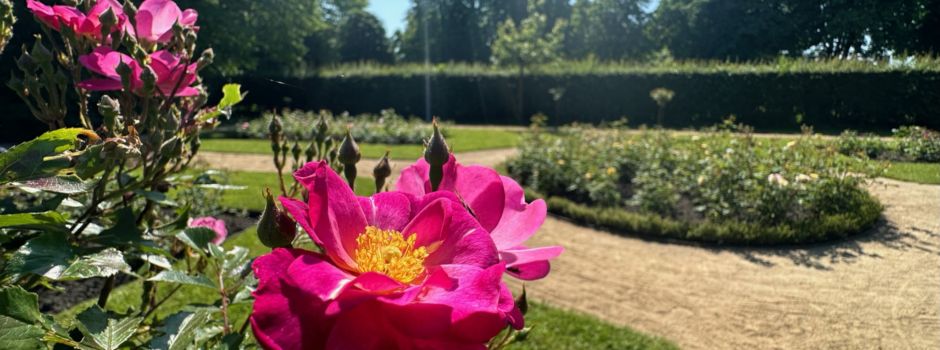 Tag der Gärten und Parks am 14. und 15. Juni 2025