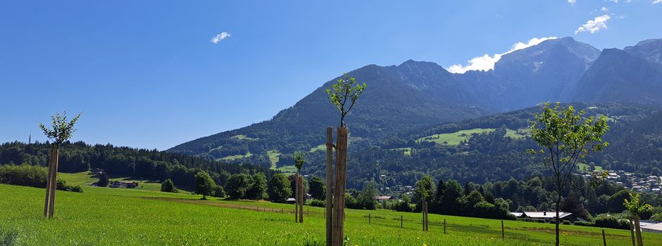 Streuobstwiesen begeistern – Lebensraum erhalten!