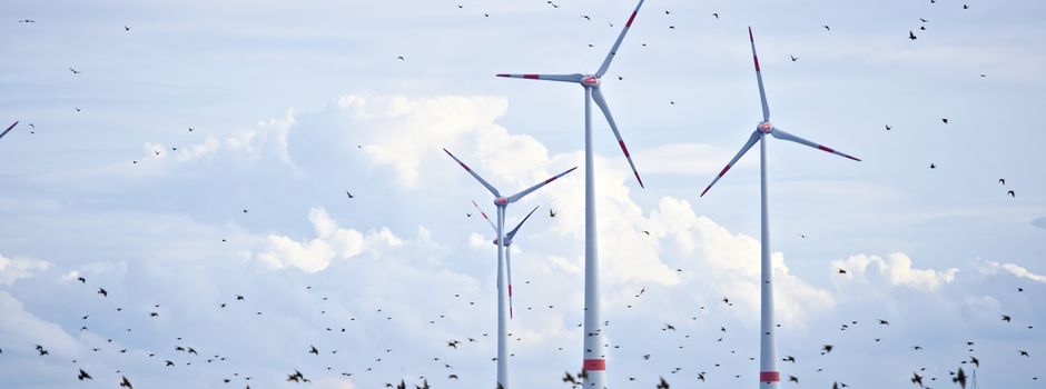 Firma aus Wörrstadt verkauft Windpark: Strom für Tausende Haushalte in Berlin