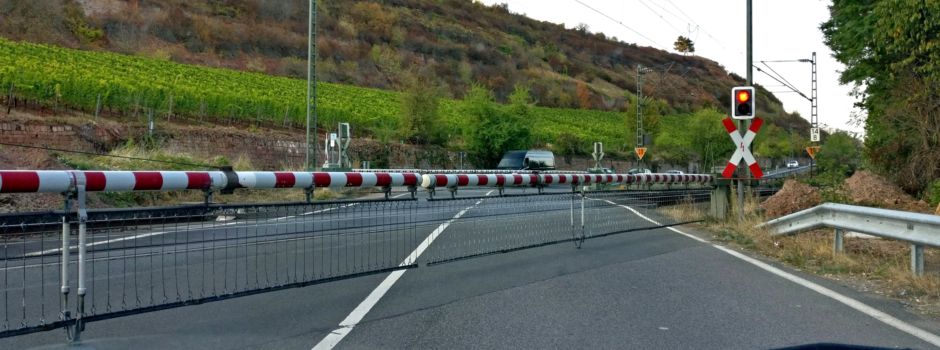 Mann randaliert im Zug von Mainz nach Nierstein