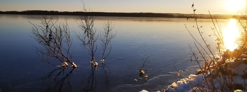 Naturschutzgebiet Galenbecker See