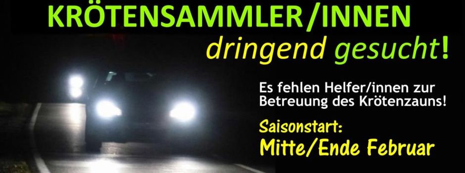 Krötensammler dringend gesucht