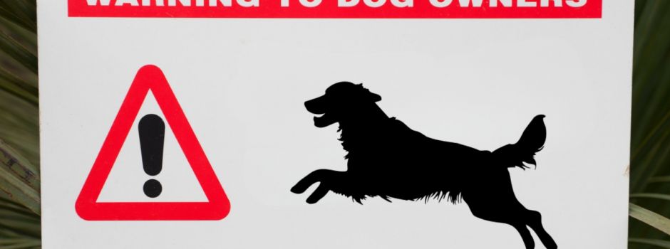 Keine bestätigten Giftköder im Bolandwald – Behörden bitten um Besonnenheit