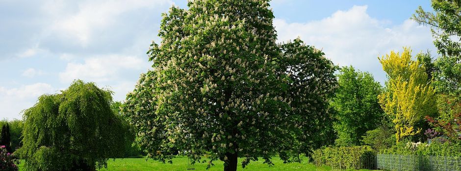 Öffentliche Bekanntmachung