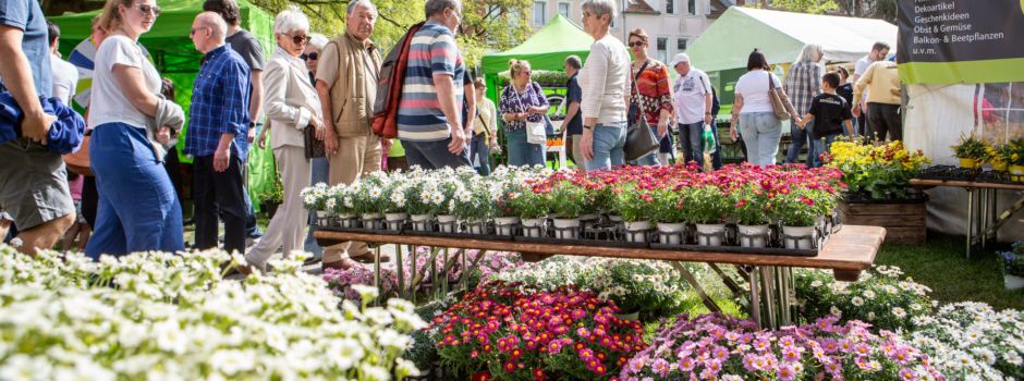40.000 Blumen: Das erwartet euch bei „Worms blüht auf“ 2025