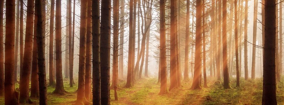 Grenzgang & Einweihung der Grillhütte