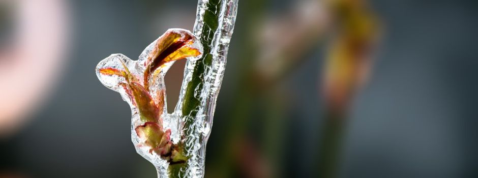 Mein schönster Winter-Moment: Jetzt wählt ihr das Gewinner-Foto