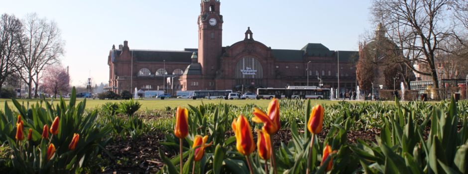 So warm wird es jetzt in Wiesbaden
