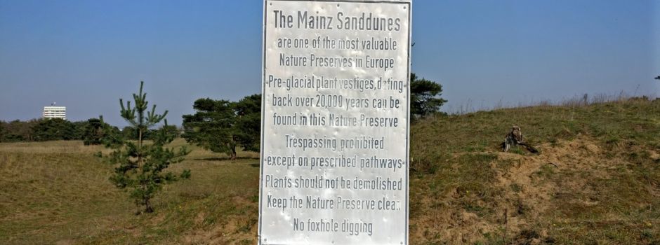 Amerikanisches Militär: Mehr Präsenz in Mainz?